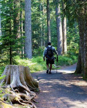 uzun bir yürüyüş üzerinde orta yaşlı erkek
