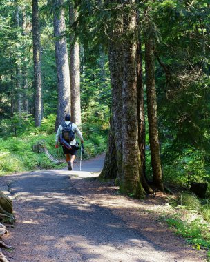 латиноамериканського людина на похід