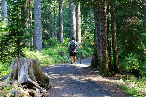 Spansktalande man på en vandring — Stockfoto