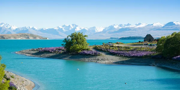 Hermoso paisaje de jardín de flores, árbol, lago y montaña de nieve en el lago Tekapo en Isla Sur, Nueva Zelanda — Foto de Stock