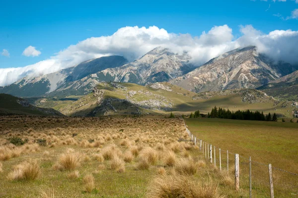 Gyönyörű táj és a füves területen, és a hegy, kék ég, Arthur s Pass Nemzeti Park South Island, Új-Zéland — Stock Fotó