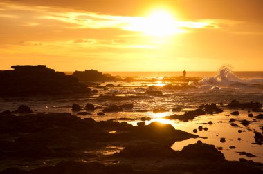 rock ve gündoğumu zaman sarı gözlü penguen waikawa defne, south Island, Yeni Zelanda ile denizde güzel manzara