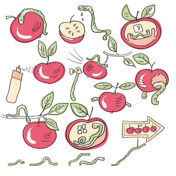 Vermes e maçãs —  Vetores de Stock