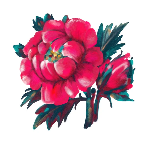 Flowers Isolated White Background Peonies Oil Painting Hand Drawn Illustration — Stock Photo, Image
