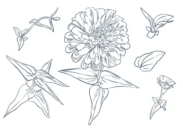 Croquis Monochrome Fleurs Feuilles Isolées Sur Fond Blanc Illustration Dessinée — Image vectorielle
