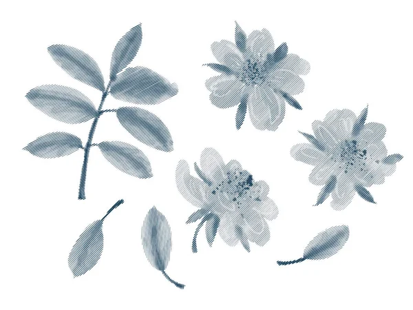 Flores Hojas Monocromas Aisladas Sobre Fondo Blanco Imitación Grabado Ilustración — Vector de stock