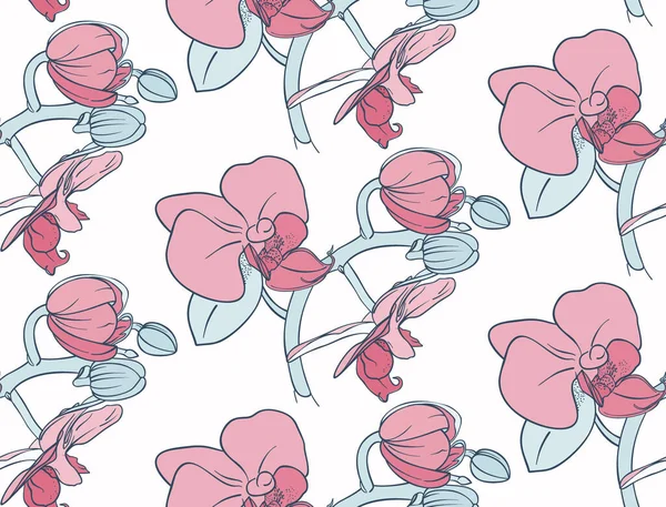 Seamless pattern with orchids. Phalaenopsis.  Hand-drawn illustration.