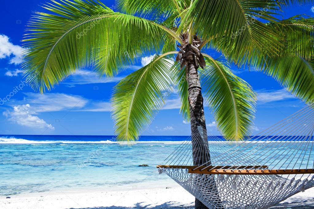 Empty hammock between palm trees — Stock Photo © mvaligursky 13736835