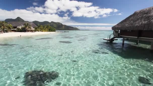 Au-dessus du bungalow d'eau avec des étapes dans la lagune — Video