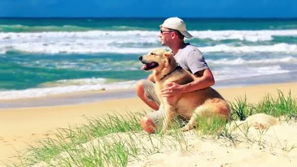 Hombre propietario sentado en una playa con un perro — Vídeos de Stock