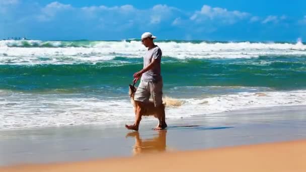 Hombre propietario en una playa con un perro — Vídeos de Stock