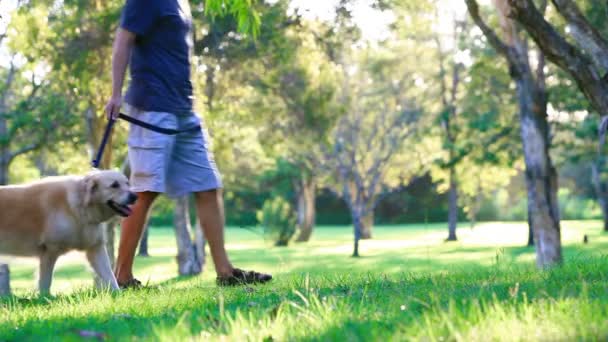 Chien et son propriétaire marchant dans le parc — Video