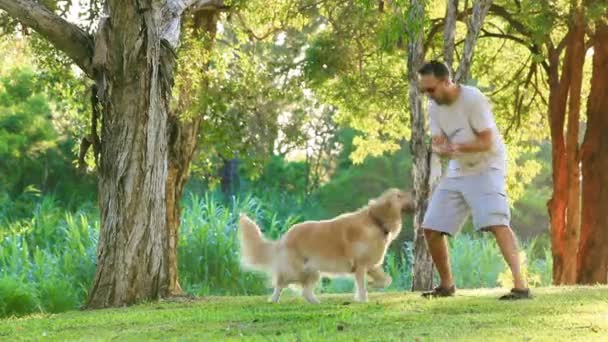 Hond met plezier en ophalen van een stok in het park — Stockvideo