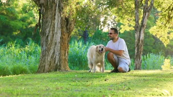 Hond en zijn eigenaar in het park samen — Stockvideo