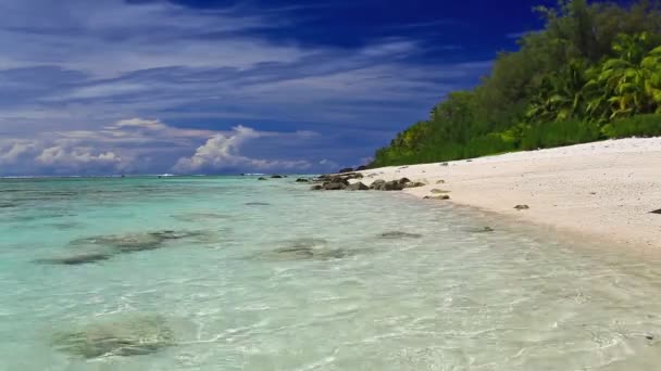 被遗弃的热带海滩上波 — 图库视频影像