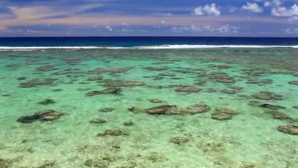 Vlny na opuštěné pláži tropických korálových — Stock video