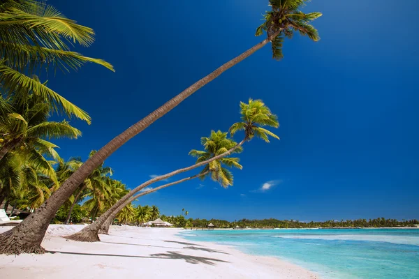 Weinig palmbomen over tropische lagune met witte strand — Stockfoto