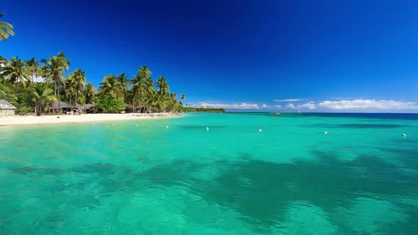 Weinig palmbomen over tropische lagune met witte strand — Stockvideo