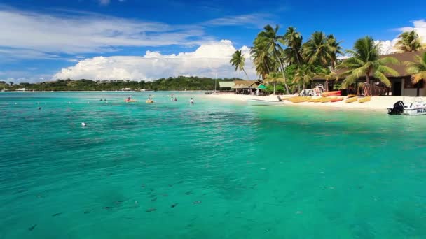 Poche palme sulla laguna tropicale con spiaggia bianca — Video Stock