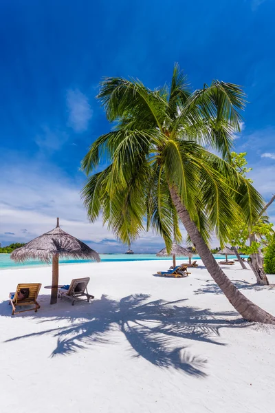 Ligstoelen en palmbomen op een tropisch strand — Stockfoto