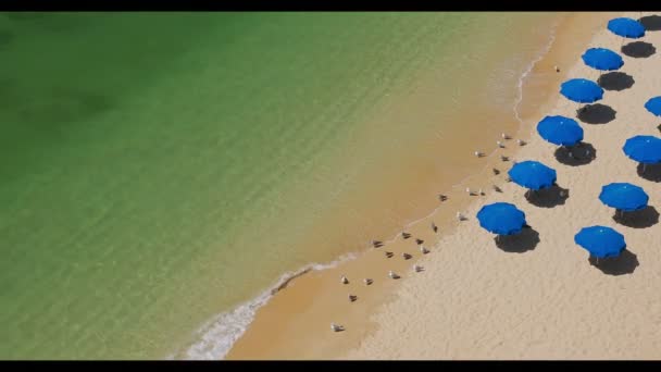 Uitzicht Lucht Van Praia Marinha Malhada Baraco Stranden Algarve Portugal — Stockvideo
