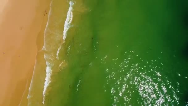 Aerial Beach View Vilamoura Praia Falesia Algarve Portugal — Stock Video