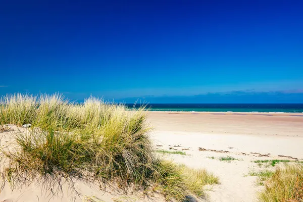 Reino Unido Inglaterra Northumberland Castelo Bamburgh Colina Perto Praia — Fotografia de Stock