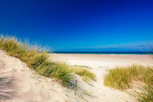 Royaume Uni Angleterre Northumberland Château Bamburgh Sur Colline Près Plage — Photo