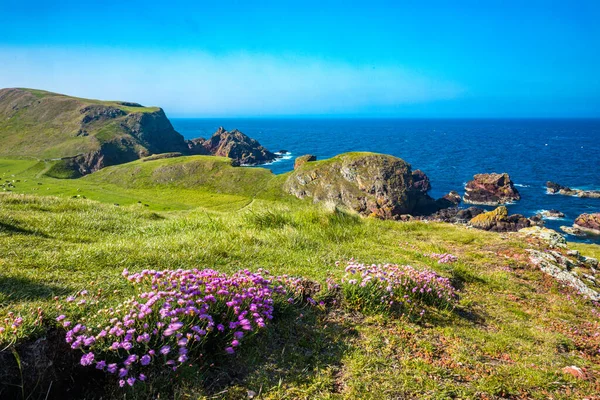 Village Abbs Starney Bay Nature Reserve Berwickshire Schotland Verenigd Koninkrijk — Stockfoto