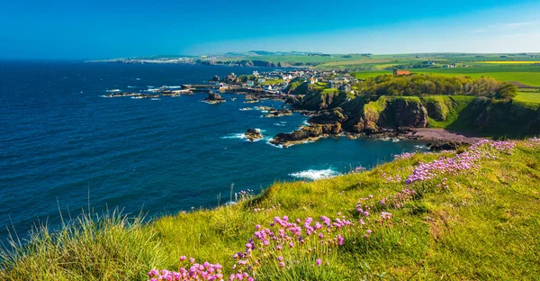 Village Abbs Starney Bay Nature Reserve Berwickshire Schotland Verenigd Koninkrijk — Stockfoto