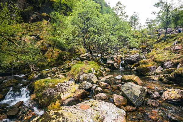 イギリスのスコティッシュ ハイランドの隠された谷の景色 — ストック写真