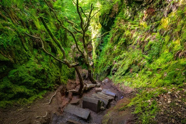 Devils Pulpit Gorge Glasgow Skócia Egyesült Királyság — Stock Fotó