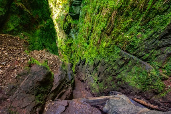 Devils Pulpit Gorge New Glasgow Scotland — 스톡 사진