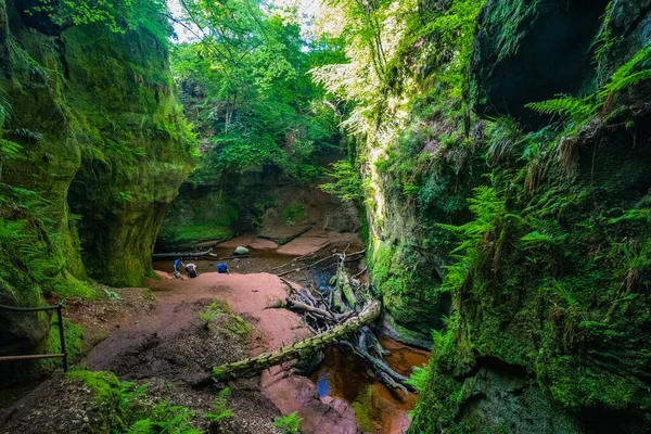 Devils Pulpit Gorge New Glasgow Scotland — стокове фото