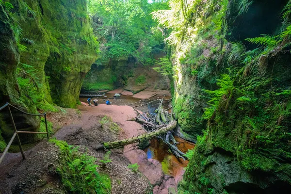 Devils Pulpit Gorge New Glasgow Scotland — стокове фото