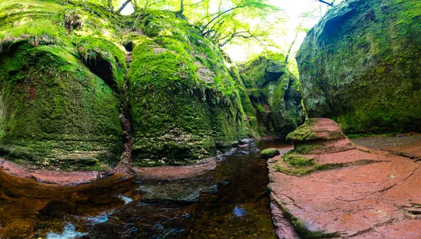 Devils Pulpit Gorge New Glasgow Scotland — 스톡 사진