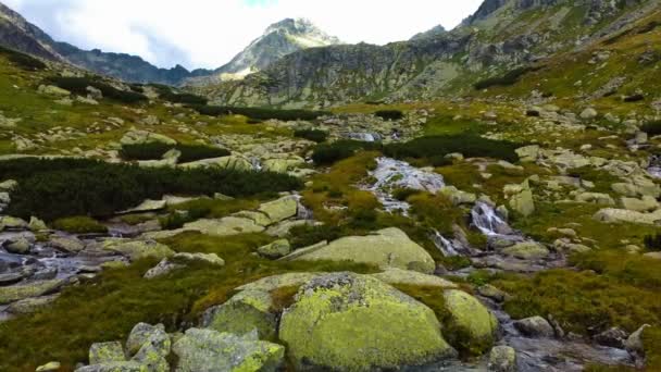 斯洛伐克塔特拉山西部斯科克瀑布和湖景全景 — 图库视频影像