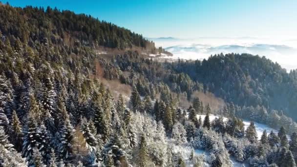 Slovakya Nın Vysne Ruzbachy Kayak Merkezinin Panoramik Kış Manzarası — Stok video