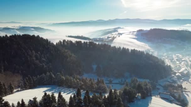 Vista Panoramica Aerea Invernale Del Centro Sciistico Vysne Ruzbachy Slovacchia — Video Stock