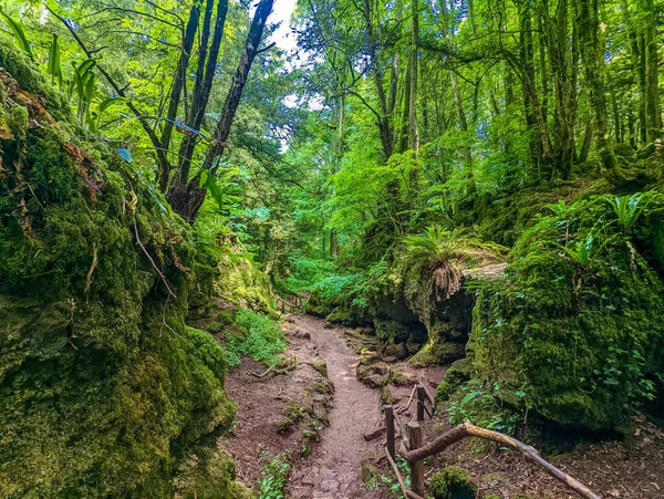 Moss Covered Rocks Puzzlewood Woodland Coleford Royal Forest Dean — Stock Photo, Image