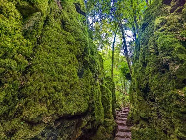 Die Moosbewachsenen Felsen Von Puzzlewood Einem Waldgebiet Der Nähe Von — Stockfoto