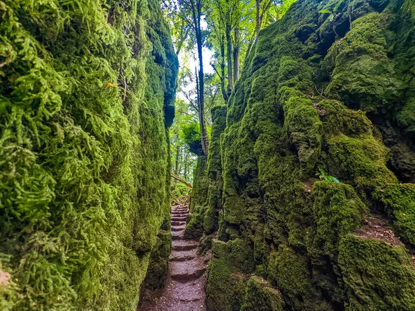 Musgo Cubría Las Rocas Puzzlewood Bosque Cerca Coleford Royal Forest — Foto de Stock