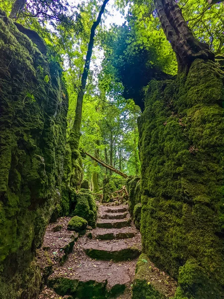 Moss Covered Rocks Puzzlewood Woodland Coleford Royal Forest Dean — Stock Fotó