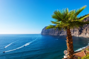 los gigantes kayalıklarla görünümü. Tenerife, Kanarya Adaları, İspanya