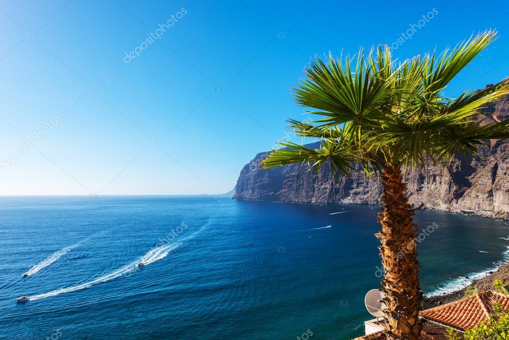 81 315 Tenerife Stock Photos Images Download Tenerife Pictures On Depositphotos 81 315 Tenerife Stock Photos Images Download Tenerife Pictures On Depositphotos