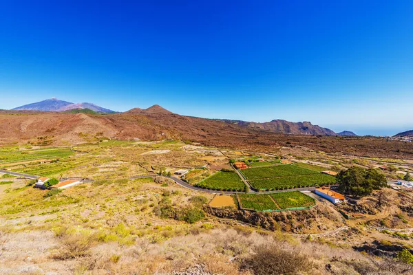 Krajobraz z drogi w dolinie, na szczyt teide — Zdjęcie stockowe