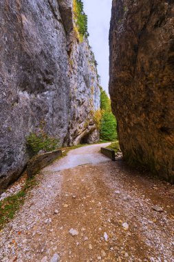 güzel dağ manzarası ile Transilvanya bir geçişte