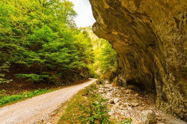 Transilvanya geçiş dağlarda güzel peyzaj