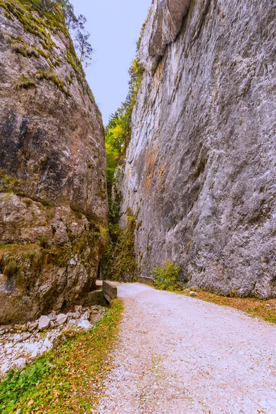 Krásná krajina v horách Transylvánie pasáž — Stock fotografie