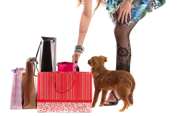 Senhora com cão compras isolado no fundo branco — Fotografia de Stock